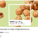 이소렐라
