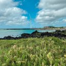 월령리(월령포구) 이미지