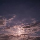 농부의 바다 | [울산] 농부의바다 진하해수욕장 근교 가볼만한곳 맛집 후기