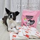뽀송강아지 | 강아지 배변패드 흡수 잘 되는 루팡 뽀송키퍼 대형 사용 후기