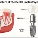네이버구강악안면외과치과의원 이미지