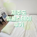 빌롱스테이 | 제주도 빌롱스테이 후기