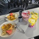 반딧불이 | 코타키나발루 봉가완투어 후기 원숭이(맹그로브), 선셋, 반딧불이 총정리