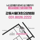 강동성모요양병원 이미지