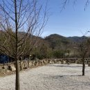 수원산오토캠핑장 네이버블로그