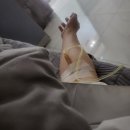 안양성모이비인후과의원 이미지