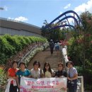 살구여성회 이미지