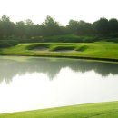 TOP GOLF클럽 이미지