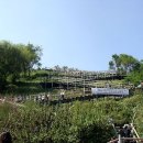 하늘공원 이미지