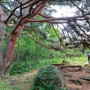 구름위에 산장 이미지