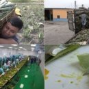 정상호 농장 이미지