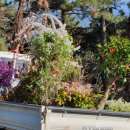 소소리농장 이미지