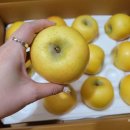 쭈니푸드 이미지