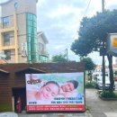 엘림 | 제주도마사지 어디가 좋아요? 도민이 다녀온 서귀포 엘림아로마 후기