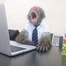 점보주유소 | 나의 서른번째 여름