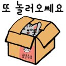 부평문화로116번길 이미지
