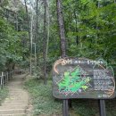 봉서산약수 이미지