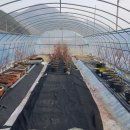 이동농장 이미지