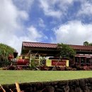 유명농장 | [해외여행] 하와이 신혼여행 83국도 유명한 파인애플 농장 ’Dole Plantation 돌플랜테이션‘ 후기