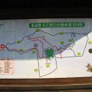 편백산림욕장 진입로 이미지