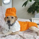 행복한그림이 이미지