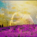 노노레타 이미지