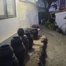 옛날쌈밥보리밥 이미지