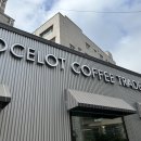 오셀롯 커피 트레이더스