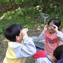 월문초등학교(병설) 이미지