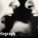 LOVELY DAY'S GROOMING 이미지