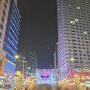 부산 해운대시장 맛집 꼼장어거리 바다 산 곰장어 내 돈 내산 후기(ft. 이곳을 고른 이유)