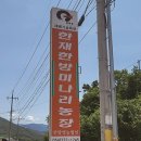 한재미나리영농조합법인 이미지