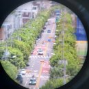 망원 휴개소 | 탐조 입문용 쌍안경, 리코 펜탁스 UD 9x21 실사용 후기