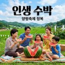 청운고등학교 | 양평 수박축제 2026 완벽 가이드, 주차부터 체험까지 한 번에 정리해요