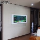 주니수족관