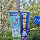 그림책 창의 톡톡 미술교실 | 하남방문미술 | 9세미술 | 넘버블록스&amp;알파블록스와 함께하는 창의력 톡톡 미술 시간(f.하남맘 필수정보)
