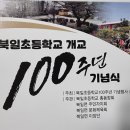 북일초등학교 이미지