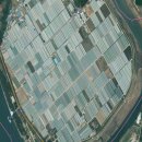 정동원농가 이미지