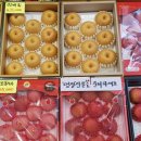 현대청과 이미지