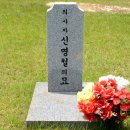국립대전현충원 이미지