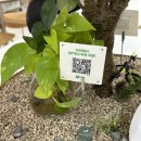 마포-공덕-마포-5358 | 공덕 샐러드 점심 맛집 🥗 Poke all day 포케&amp;샐러드 공덕점