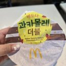 [가산디지털단지역 맛집] 맥도날드 과카몰레 더블 &amp; 빅맥 후기 (내돈내산 리얼후기)