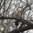 고리울가로공원 이미지