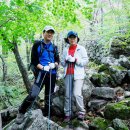 진부한의원 이미지