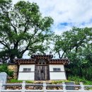 제일강산 이미지