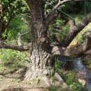 유전1농장 이미지