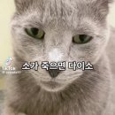 한국네이처스버라이어티(주) | 250726-250727 미세스그린애플 10주년 기념 라이브 피요르드(FJORD)에 다녀왔어요..