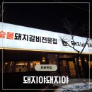 돼지야한우야 | (포항맛집/효자)돼지야 돼지야 포항 효자동 고기집 | 생돼지갈비 양념갈비 솔직후기