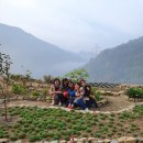 보성초등학교 이미지