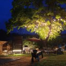 아콘트리 이미지